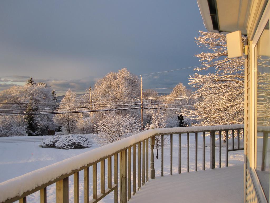 Basinview Motel Smiths Cove Bagian luar foto