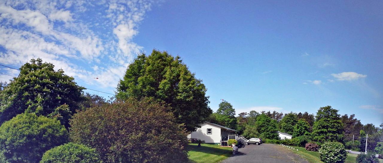 Basinview Motel Smiths Cove Bagian luar foto
