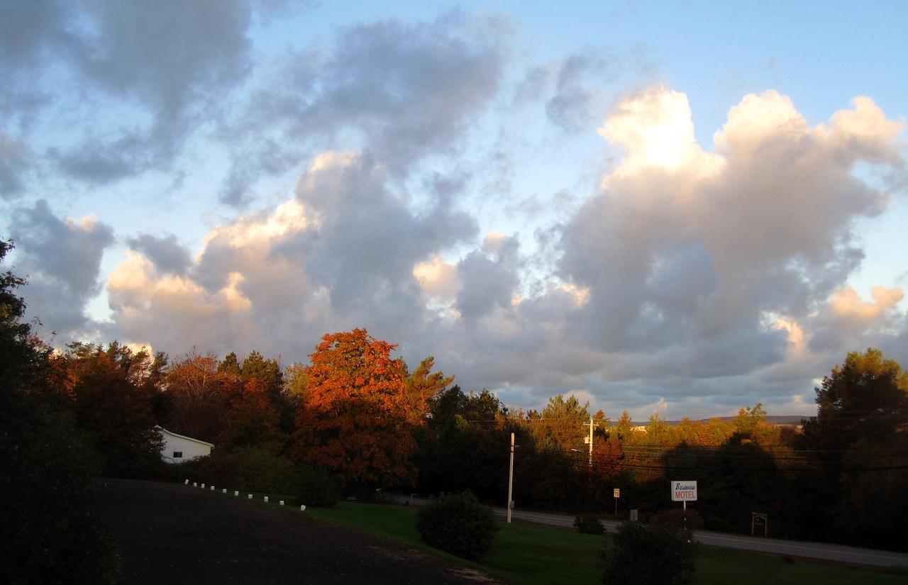 Basinview Motel Smiths Cove Bagian luar foto