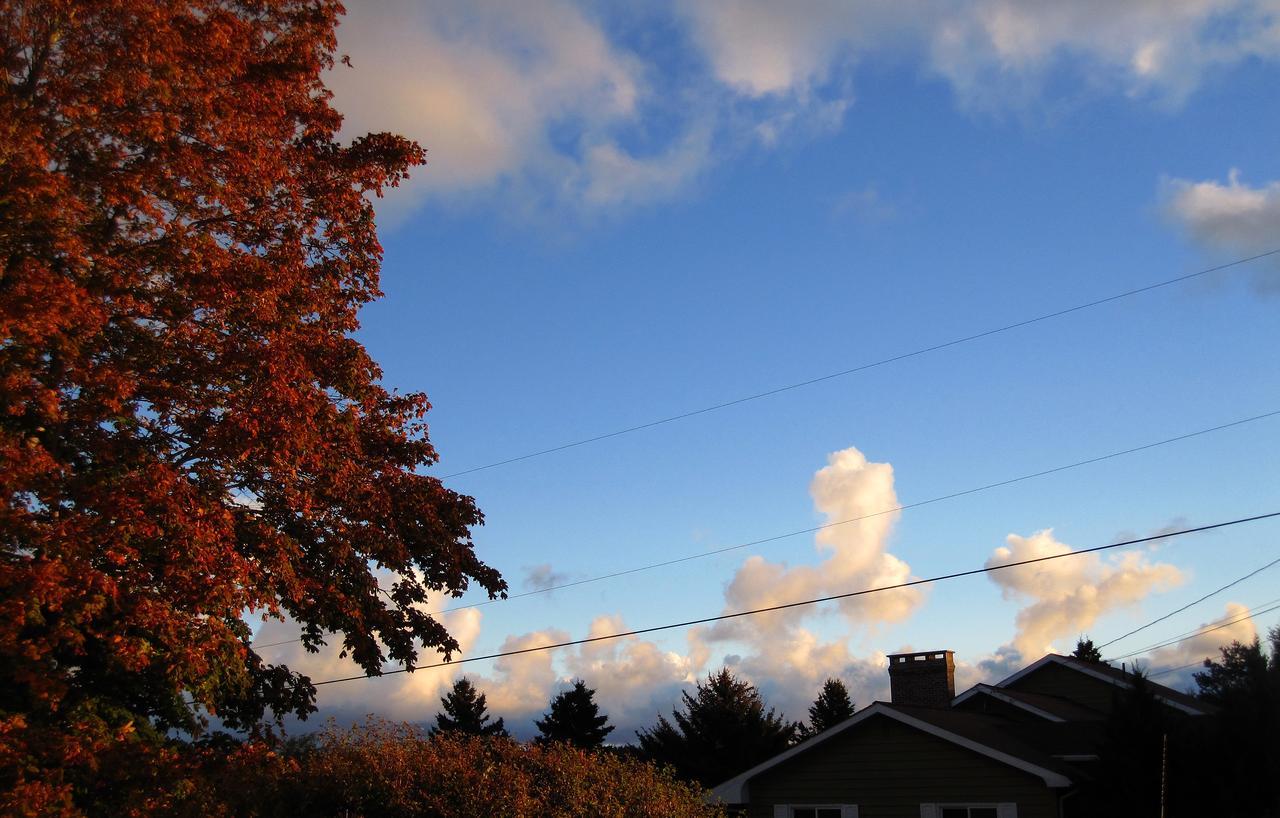 Basinview Motel Smiths Cove Bagian luar foto