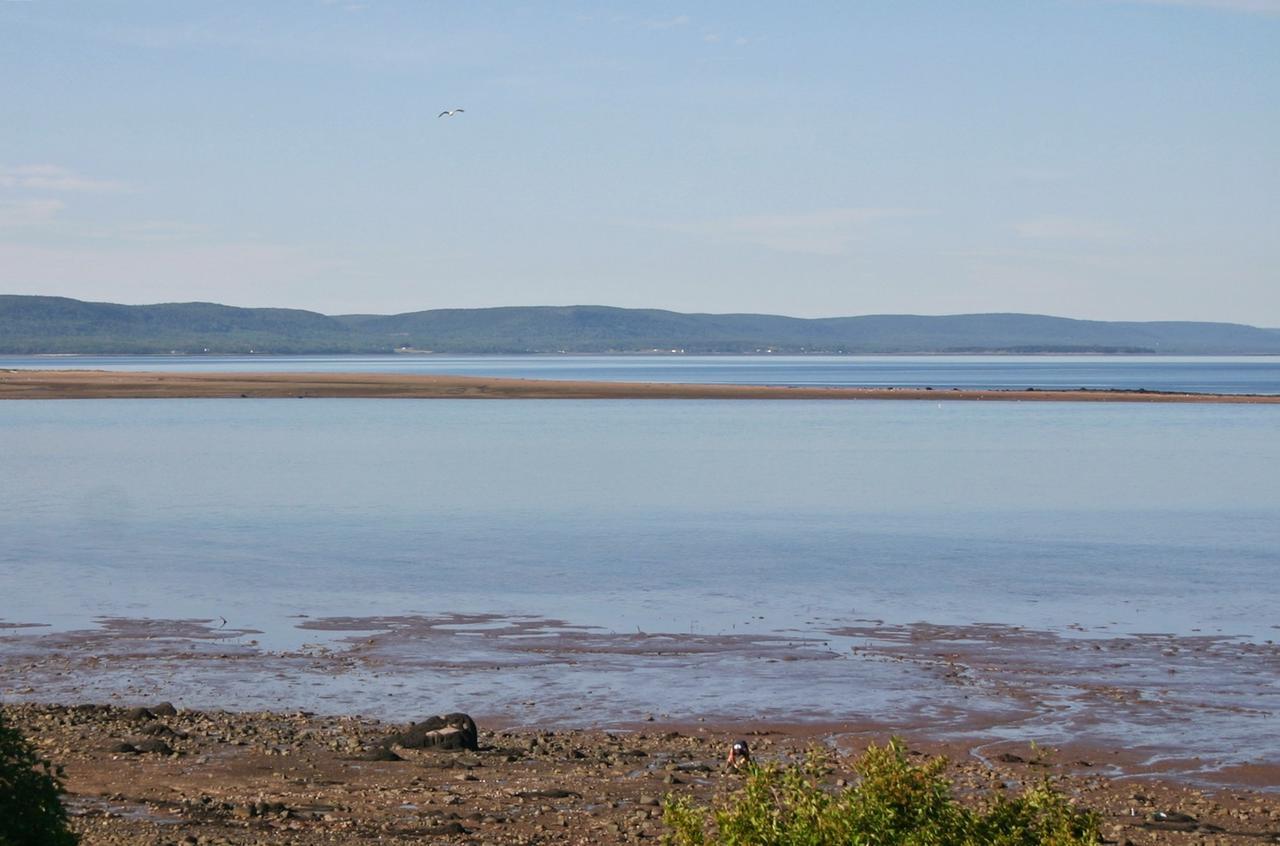 Basinview Motel Smiths Cove Bagian luar foto
